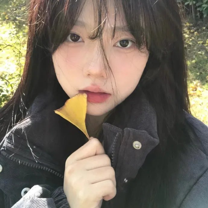 智理想情人